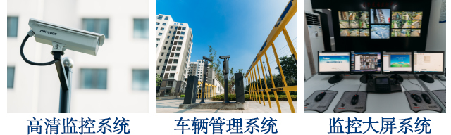 麻豆操逼视频解决方案